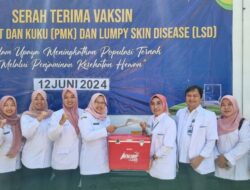Vaksin PMK Dan LSD Telah Diserahkan Disnak Jatim ke Kabupaten/Kota se-Jatim