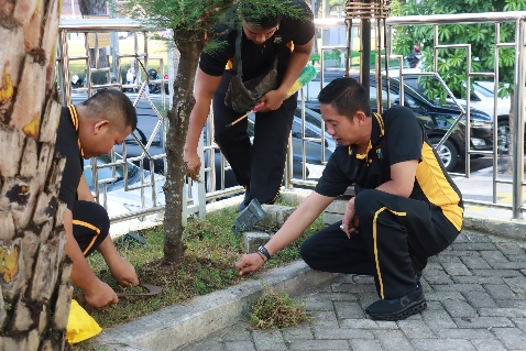 Img 20240614 Wa0107 Copy 478x319