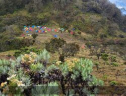 Pendakian Gunung Arjuno-Welirang Per 1 November 2024 Ditutup
