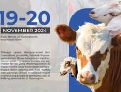 Berikut Jadwal Kontes Dan Pameran Ternak Di Bojonegoro