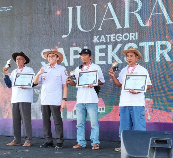 17320962655411384770371260782231 Copy 600x547