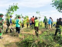 Kodim Bojonegoro Tanam Ribuan Bibit Pohon Penghijauan
