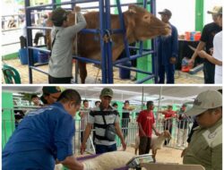 Pemkab Bojonegoro Siapkan Uang Tunai, Thropy Serta Piagam Untuk Juara Kontes Dan Pameran Ternak