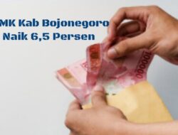 Tahun 2025 Upah Minimum Kabupaten Bojonegoro Naik 6,5 Persen