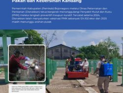 Cegah PMK Disnakkan Bojonegoro Imbau Peternak Sapi Perhatikan Pakan Dan Kebersihan Kandang