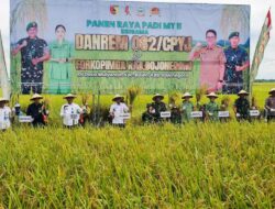 Danrem 082/CPYJ Panen Raya Padi Seluar 230 Hektar Bersama Kelompok Tani Mulyorejo