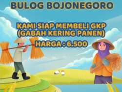 Bulog Bojonegoro Akan Beli Gabah Kering Panen Sesuai HPP