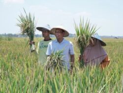 Pemkab Bojonegoro Fasilitasi 2 Perusahaan Kontrak Pembelian Hasil Panen Dari petani.