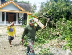 Babinsa Koramil Kanor Bojonegoro Evakuasi Pohon Roboh Yang Menimpa Rumah Warga