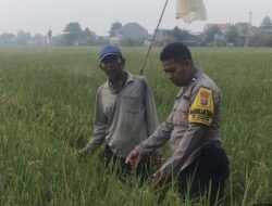 Dukung Program Asta Cita Aipda Dwi Pujoko Dampingi Petani Tingkatkan Hasil Panen