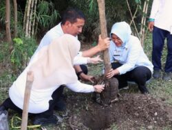 Bupati Bojonegoro Inisiasi Pencanangan Hutan Kota Di Ledok Kulon