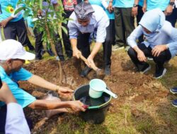 Tingkatkan Kesejahteraan Masyarakat Bupati Wahono Tanam Alpukat Di Lahan Seluas 5 Hektare