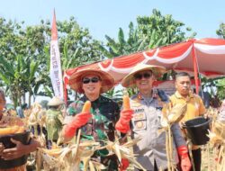 Polres Bojonegoro dan Forkopimda Panen Raya Jagung Serentak Dukung Swasembada Pangan
