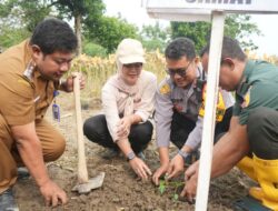 Pemkab Bojonegoro Gandeng PT Sewu Segar Nusantara Tanam Perdana Pepaya California