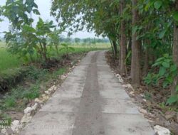 Peduli Masyarakat Pemdes Kalirejo Ngraho Bangun JUT Untuk Tingkatkan Pendapatan Petani