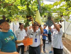 Smart Village Kensvil Bojonegoro Siap Wujudkan Pertanian Modern Berbasis Edukatif