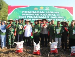 Pemkab Bojonegoro Ikut Sukseskan Penanaman Jagung Serentak Kuartal III