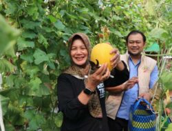 Wabup Nurul Hadiri Jagong Gayeng Pertanian, Kreativitas Dan Ketahanan Pangan