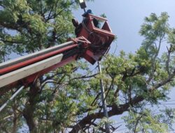 Pemkab Bojonegoro Pasang Lampu Penerangan Jalan Nasional Ribuan Titik