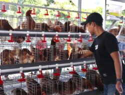 Program GAYATRI Bojonegoro Tunjukkan Hasil Menggembirakan
