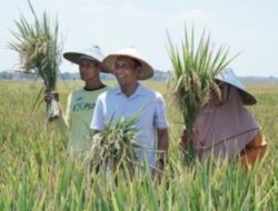 Realisasi Penyaluran Pupuk Bersubsidi Hampir 100 % ke Petani Bojonegoro
