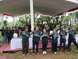 Bupati Wahono Pimpin Langsung Gotong Royong Taman Pohon di Kawasan Hulu Gunung Pandan