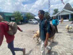 Program Domba Kesejahteraan Terbukti Tingkatkan Ekonomi Warga Bojonegoro