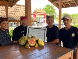 Durian Merah Banyuwangi Ditetapkan Sebagai Indikasi Geografis Pertama Di Indonesia