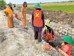Dongkrak Produktivitas Pertanian Pemkab Bojonegoro Terus Menambah Bangun Infrastruktur Jaringan Irigasi