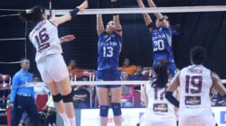 Bandung bjb Tandamata Buka Peluang ke Final Four, Tundukkan Medan Falcons 3-1