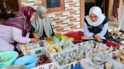 Img 20260225 Wa0119 Copy 1187x791