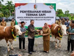 Pemprov Jatim Salurkan Bantuan Hibah Sapi Kepada Poker Di Bojonegoro