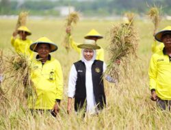 Antisipasi Kemarau 2026, Khofifah Instruksikan Bupati/Wali Kota Jaga Produksi Pertanian Jawa Timur