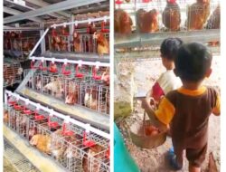 Program GAYATRI Di Desa Babad Terbukti Mampu Meningkatan Ekonomi Penerima Manfaat