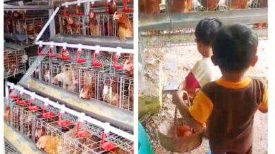 Img 20260416 Wa0201 Copy 946x1072 1