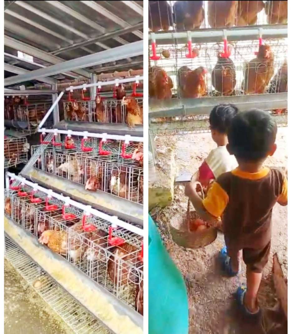 Img 20260416 Wa0201 Copy 946x1072 1