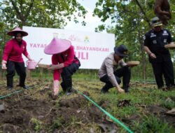 Sambut Hari Jadi YKBKe-46 polres Bojonegoro Gelar Tanam Jagung Dan Ketela Di Lahan Hutan