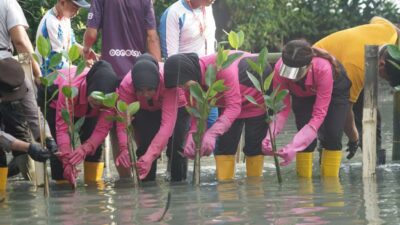 Img 20260423 Wa0064 Copy 1275x850