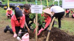 Img 20260423 Wa0067 Copy 522x348