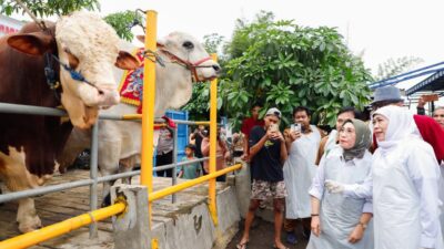 Img 20260427 Wa0066 Copy 1040x692