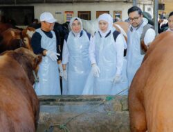 Khofifah Tinjau Peternakan UD Sapi Baru di Nganjuk: Pastikan Stok Sapi Kurban Cukup, Memenuhi Syarat Syariah, Sehat dan Bebas dari Penyakit Mulut dan Kuku (PMK) serta Lumpy Skin Disease (LSD)