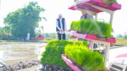 Khofifah Pimpin Gerakan Panen dan Percepatan Tanam di Madiun: Produksi Padi Jatim Diprediksi Naik Hingga 5 Persen dan Konsisten Surplus, Target Ekspor Beras ke Pasar Global