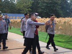 Polri Bersama Petani Jagung Tuban Bersiap Sambut Kehadiran Presiden RI pada Panen Raya