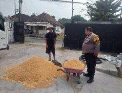 Polsek Kejayan Kawal Pengiriman Hasil Panen Jagung ke Bulog untuk Dukung Ketahanan Pangan Nasional
