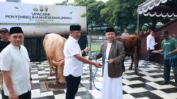 Idul Adha 1447 H Polda Jatim Salurkan Ratusan Hewan Kurban untuk Masyarakat