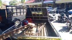 Polres Lumajang Ungkap Sindikat Pencurian Rel Kereta Api, 3 Tersangka Diamankan