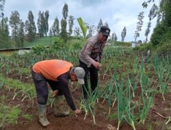 Polisi Turun ke Kebun Bawang Prei, Dorong Warga Aktif Bertanam untuk Ketahanan Pangan