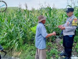 Pantau Lahan Jagung Petani, Polres Pasuruan Kawal Sukses Swasembada Pangan
