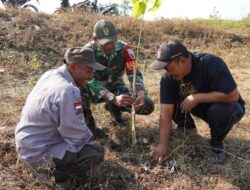 Kodim 0813 Bojonegoro Tanam Ribuan Pohon Kayu Putih dan Balsa