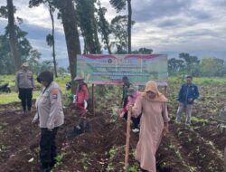 Polri Turun ke Lahan, Dampingi Petani Tanam Jagung Kuartal IV Dukung Swasembada Pangan di Pasuruan